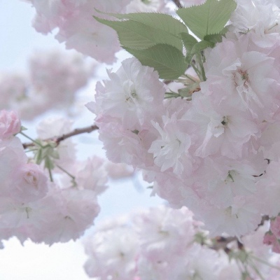 洛江FurryQQ群介绍